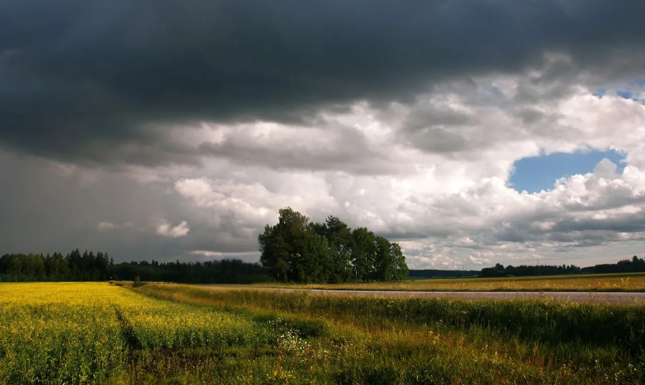 a imagem mostra o avanço de chuva em uma determinada região